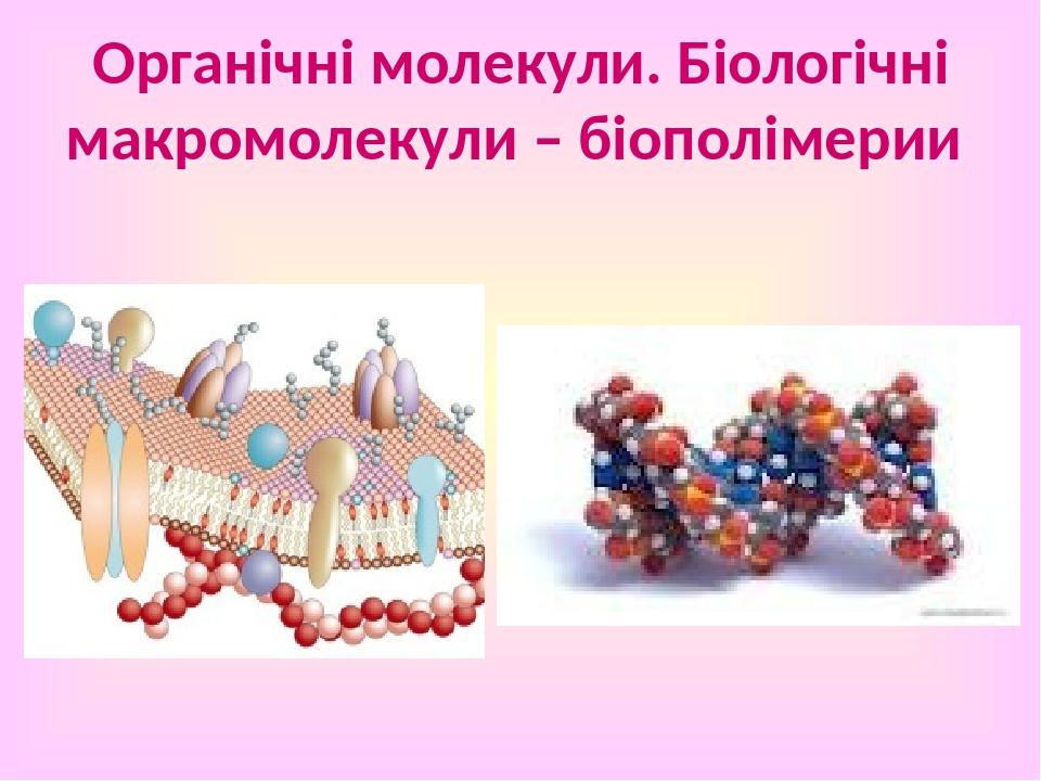 Органічні молекули. Біологічні макромолекули – біополімерии