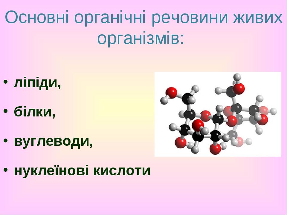 Основні органічні речовини живих організмів: ліпіди, білки, вуглеводи, нуклеїнові кислоти