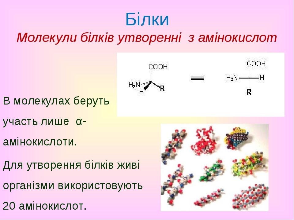 Білки Молекули білків утворенні з амінокислот В молекулах беруть участь лише α-амінокислоти. Для утворення білків живі організми використовують 20 ...