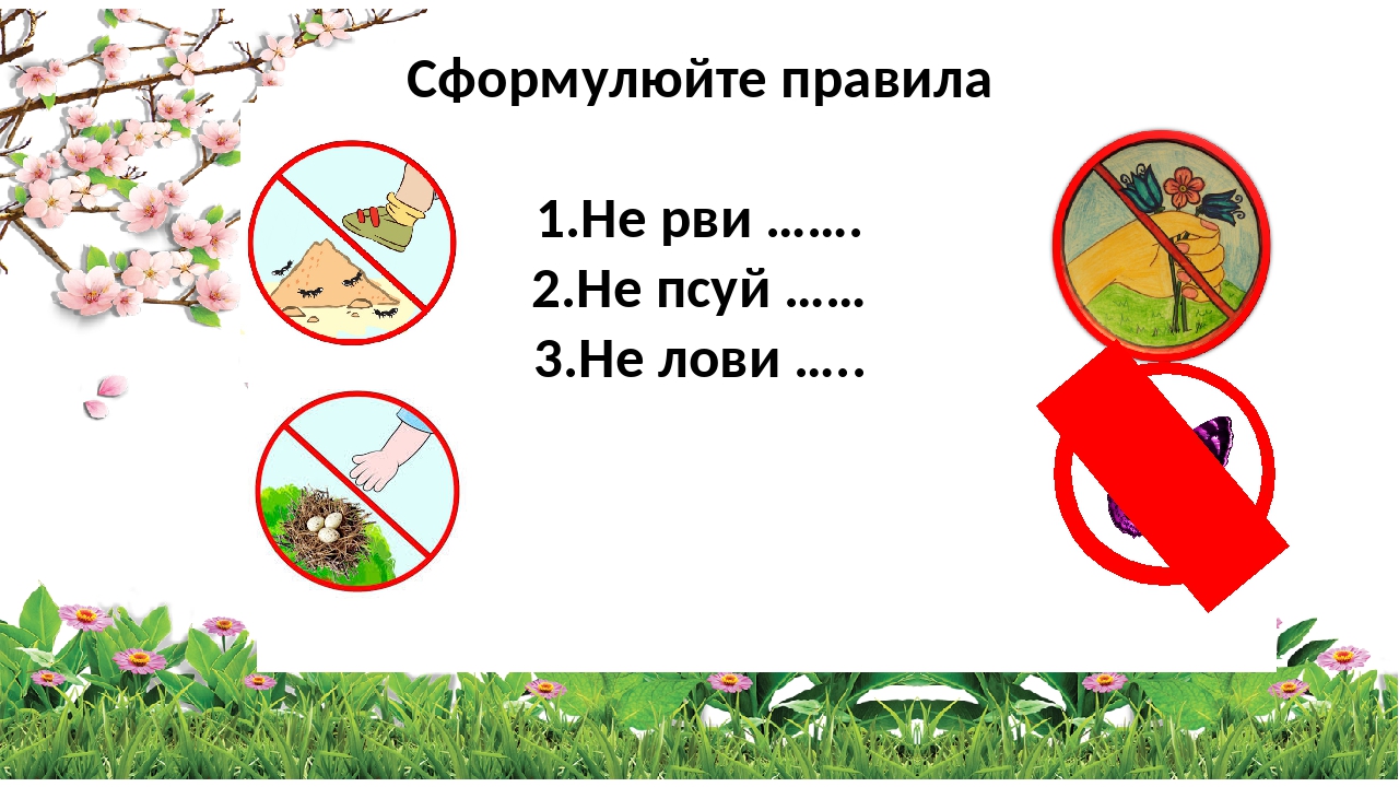 Сформулюйте правила 1.Не рви ……. 2.Не псуй …… 3.Не лови …..