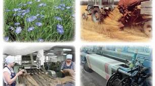 Як природа лісостепу впливає на господарську діяльність людини.