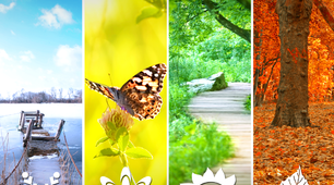 План-Конспект уроку з англійської мови для учнів 6 класу за темою "Seasons and Weather"
