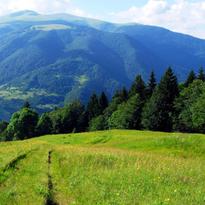 Кращими за гори можуть бути лише гори