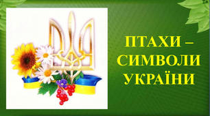 Науково-дослідницька робота " Птахи як символ українського народу"