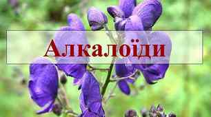 Презентація "Біологічно активні речовини"