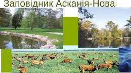 Біосферний заповідник "Асканія- Нова"