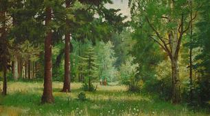 Дерева, кущі, трав'янисті рослини.