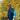 Аватар профіля