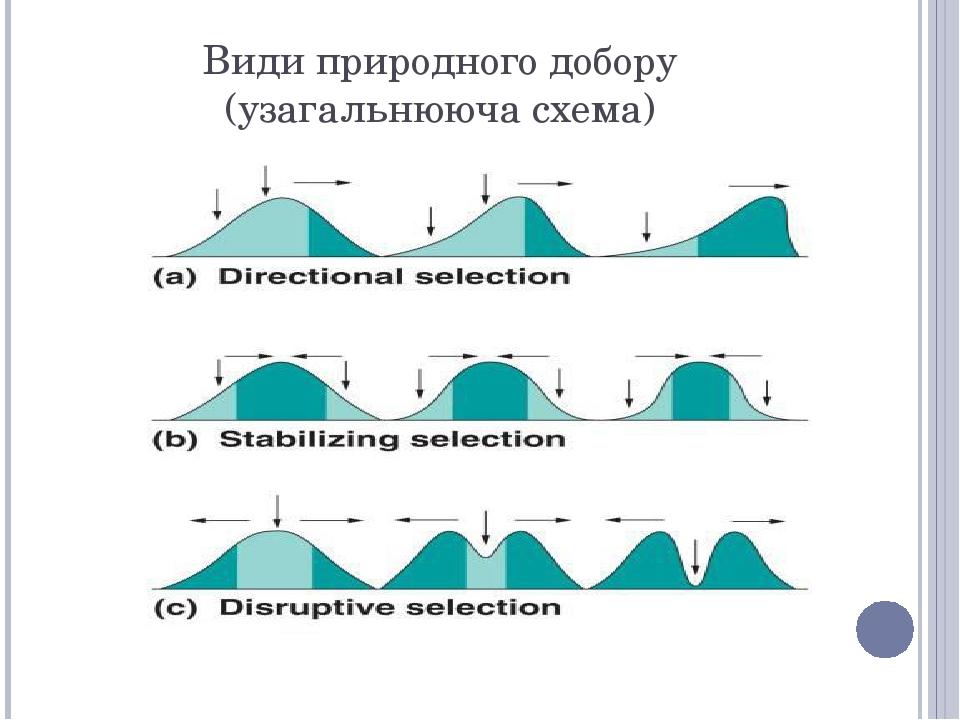 Схема природного процесса