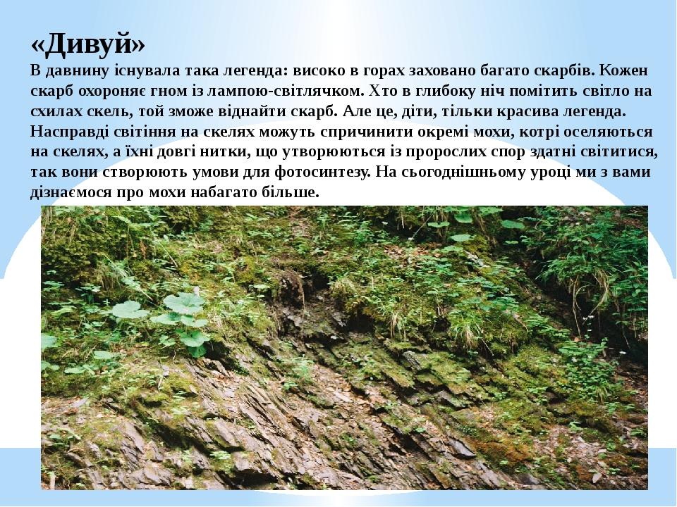«Дивуй» В давнину існувала така легенда: високо в горах заховано багато скарбів. Кожен скарб охороняє гном із лампою-світлячком. Хто в глибоку ніч ...