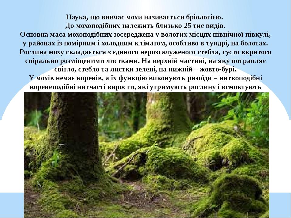 Наука, що вивчає мохи називається бріологією. До мохоподібних належить близько 25 тис видів. Основна маса мохоподібних зосереджена у вологих місцях...