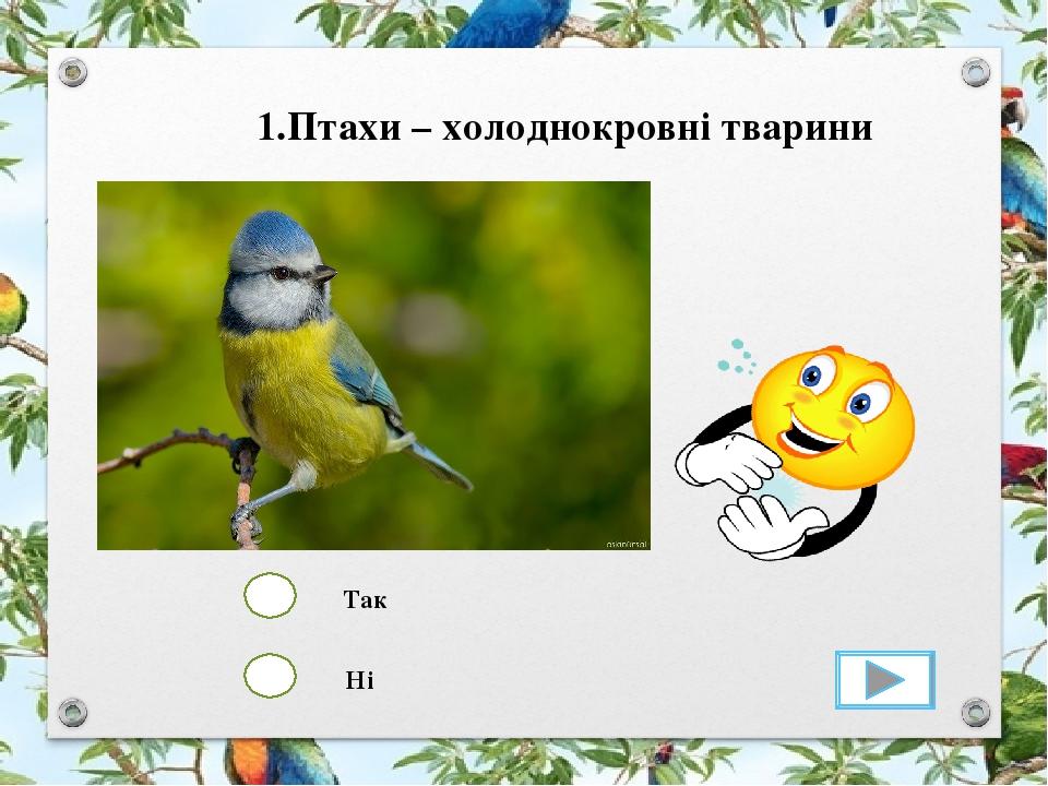 Так Ні 1.Птахи – холоднокровні тварини