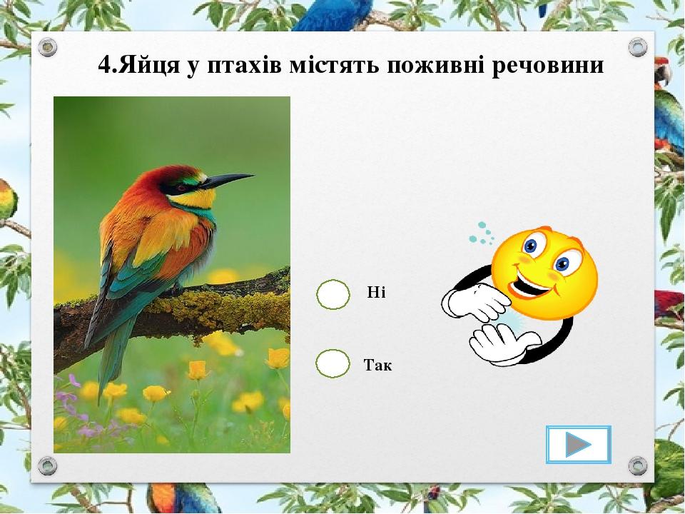 Так Ні 4.Яйця у птахів містять поживні речовини
