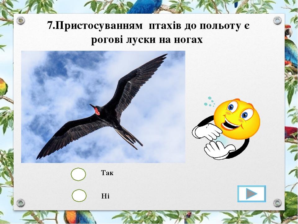 Так Ні 7.Пристосуванням птахів до польоту є рогові луски на ногах