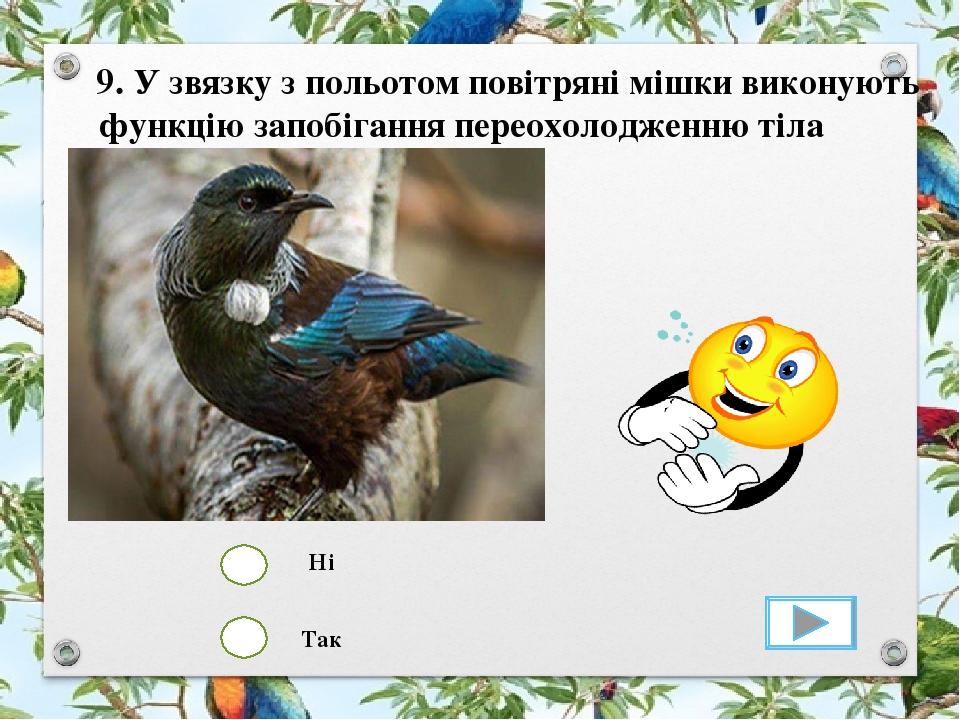 Так Ні 9. У звязку з польотом повітряні мішки виконують функцію запобігання переохолодженню тіла