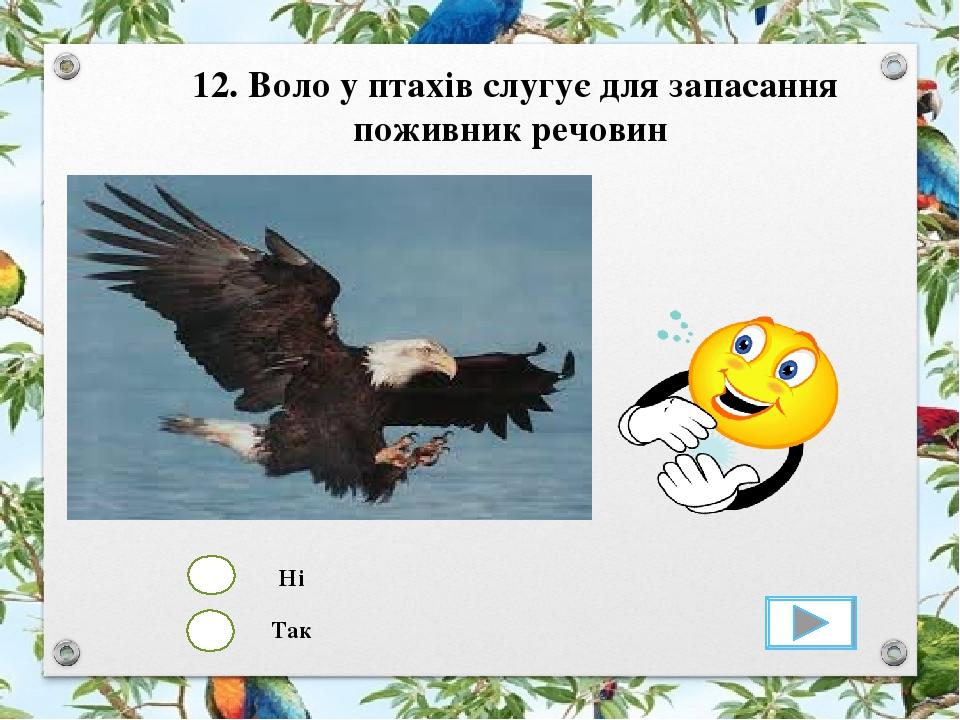 Так Ні 12. Воло у птахів слугує для запасання поживник речовин
