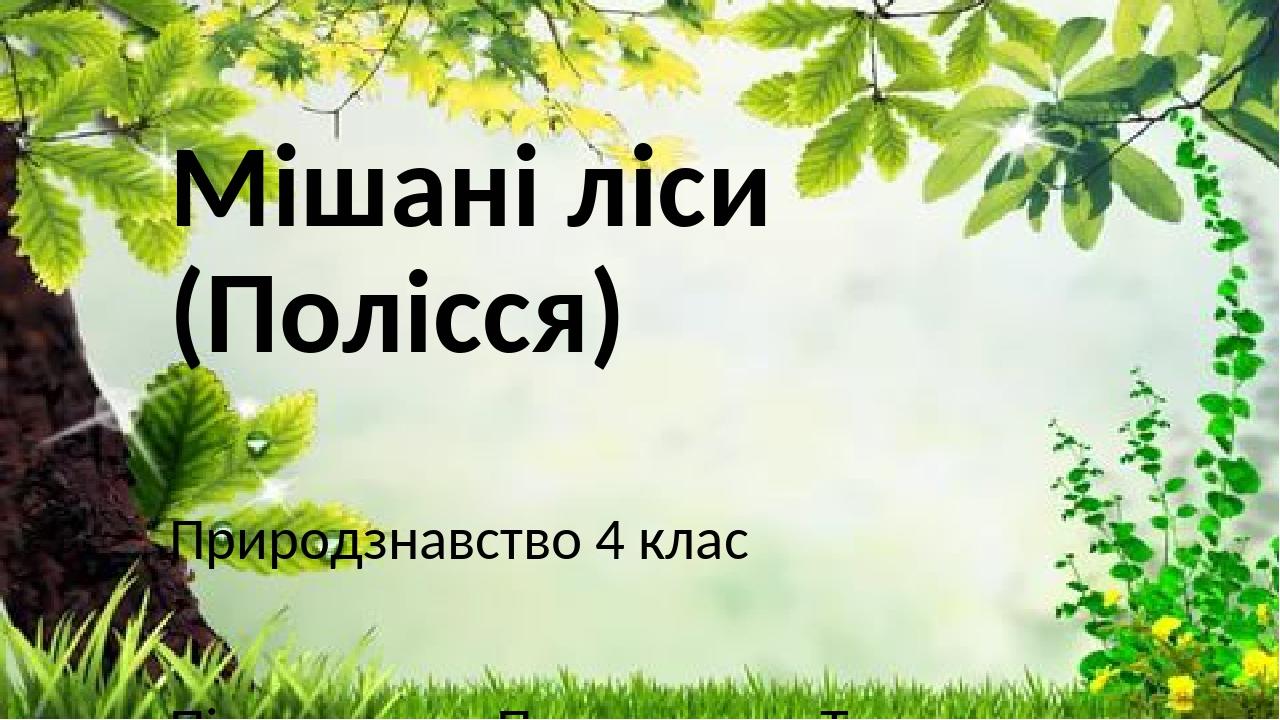 Мішані ліси (Полісся) Природзнавство 4 клас Підготувала: Пархоменко Тетяна Сергіївна