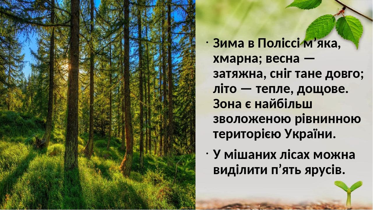 Зима в Поліссі м’яка, хмарна; весна — затяжна, сніг тане довго; літо — тепле, дощове. Зона є найбільш зволоженою рівнинною територією України. У мі...