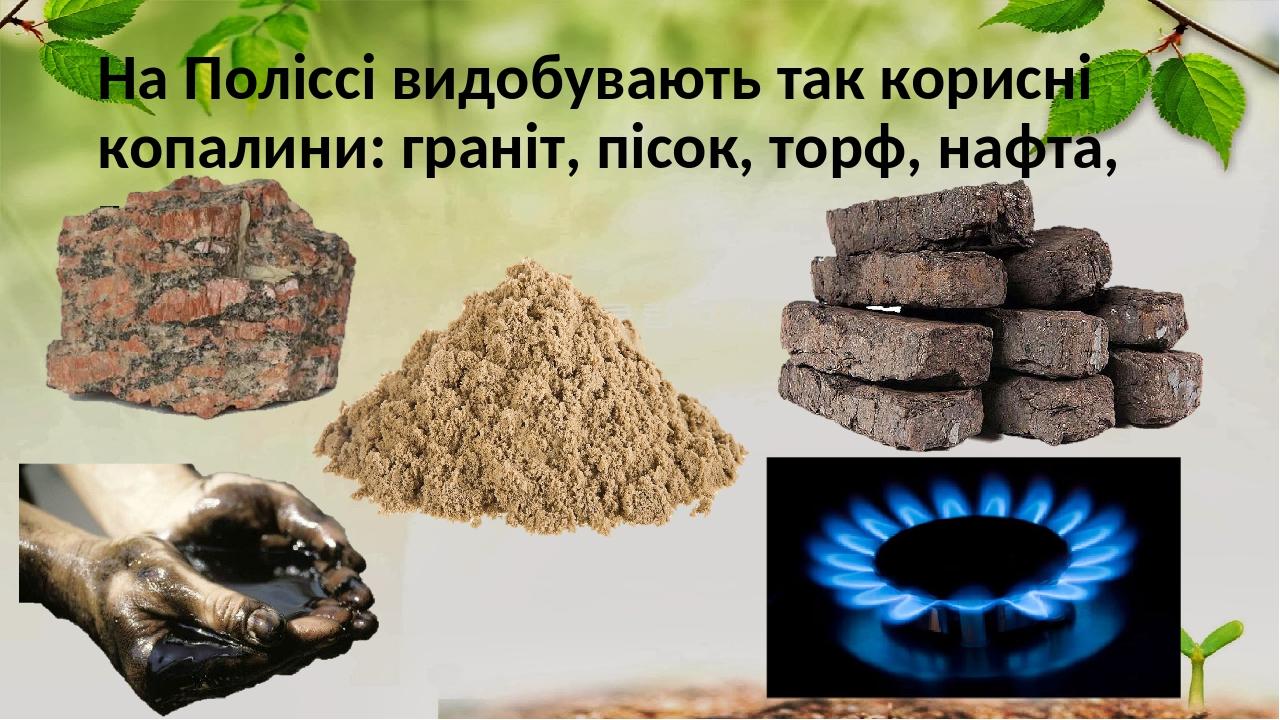 На Поліссі видобувають так корисні копалини: граніт, пісок, торф, нафта, газ