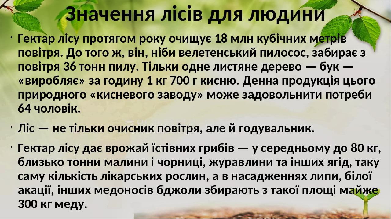 Значення лісів для людини Гектар лісу протягом року очищує 18 млн кубічних метрів повітря. До того ж, він, ніби велетенський пилосос, забирає з пов...