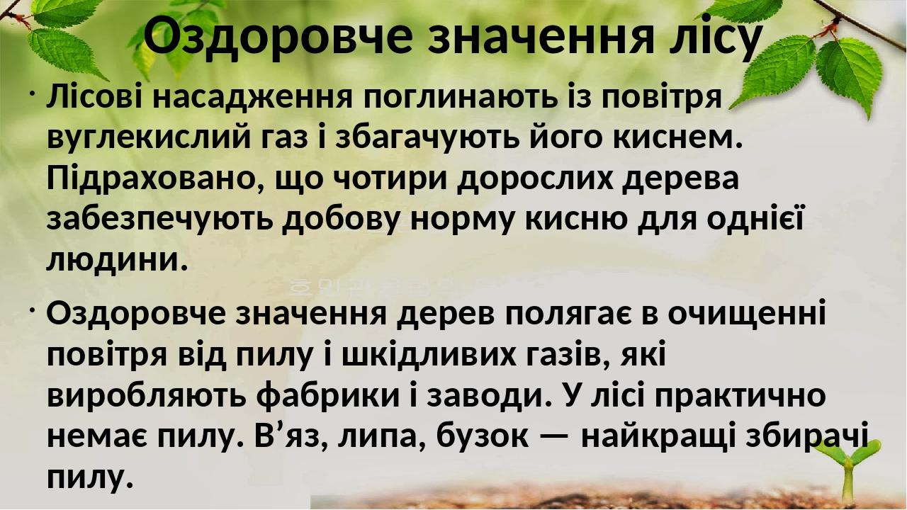Оздоровче значення лісу Лісові насадження поглинають із повітря вуглекислий газ і збагачують його киснем. Підраховано, що чотири дорослих дерева за...