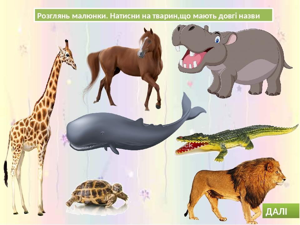 Розглянь малюнки. Натисни на тварин,що мають довгі назви ДАЛІ