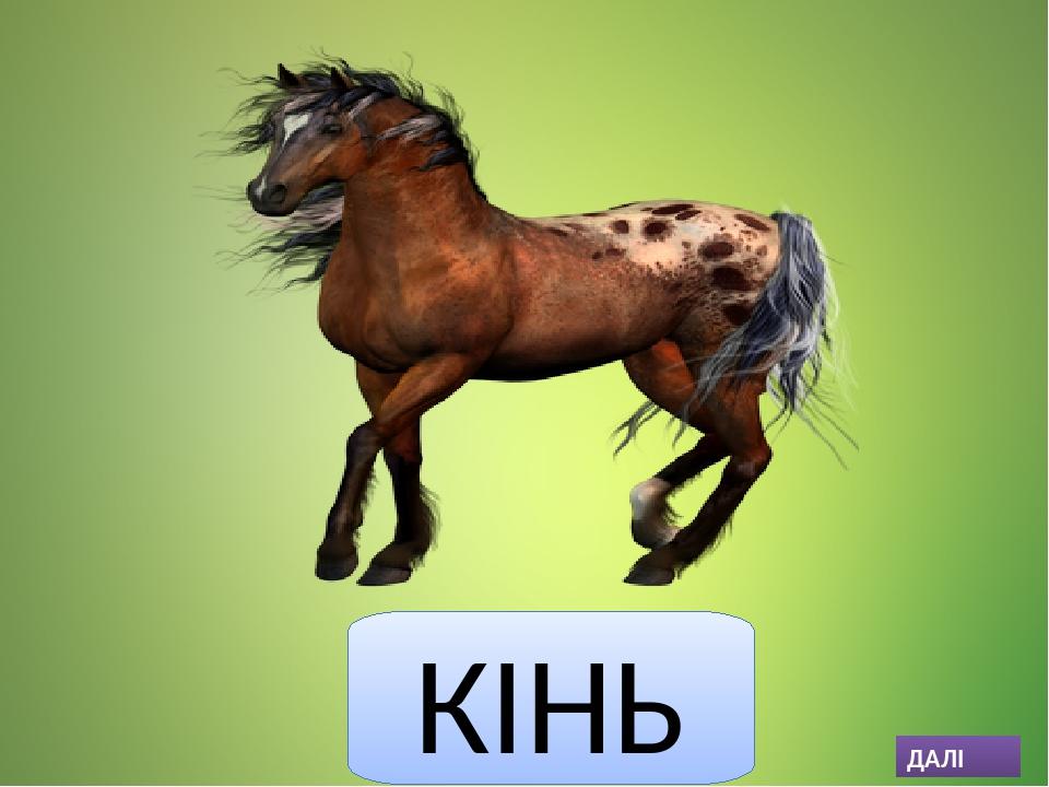 КІНЬ ДАЛІ