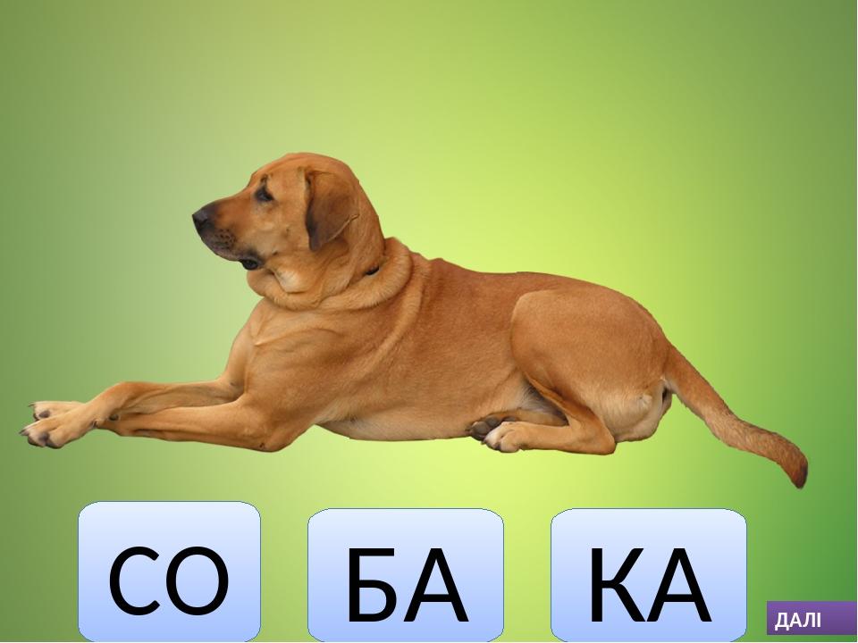 СО БА КА ДАЛІ