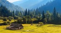 Природні комплекси Українських Карпат
