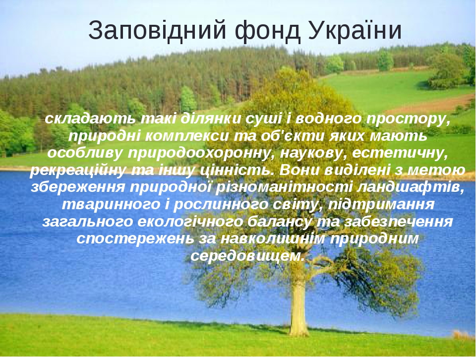 Міні проект заповідні території україни