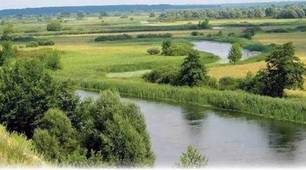   Природі зони. Зона  мішаних лісів