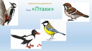 Завдання для дошкільнят на тему : "Птахи"