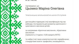 Підвищення кваліфікації. Сертифікат (2 акад.год.)