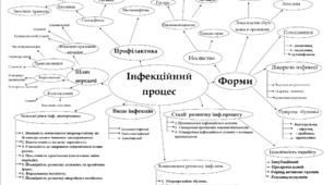 Інфекційний процес. Опорна схема