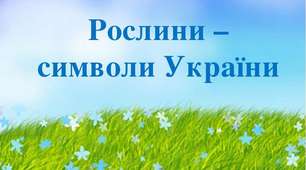 Рослинні символи України, ЯДС 2  клас (за підручником І.Большакової і М. Пристінською)