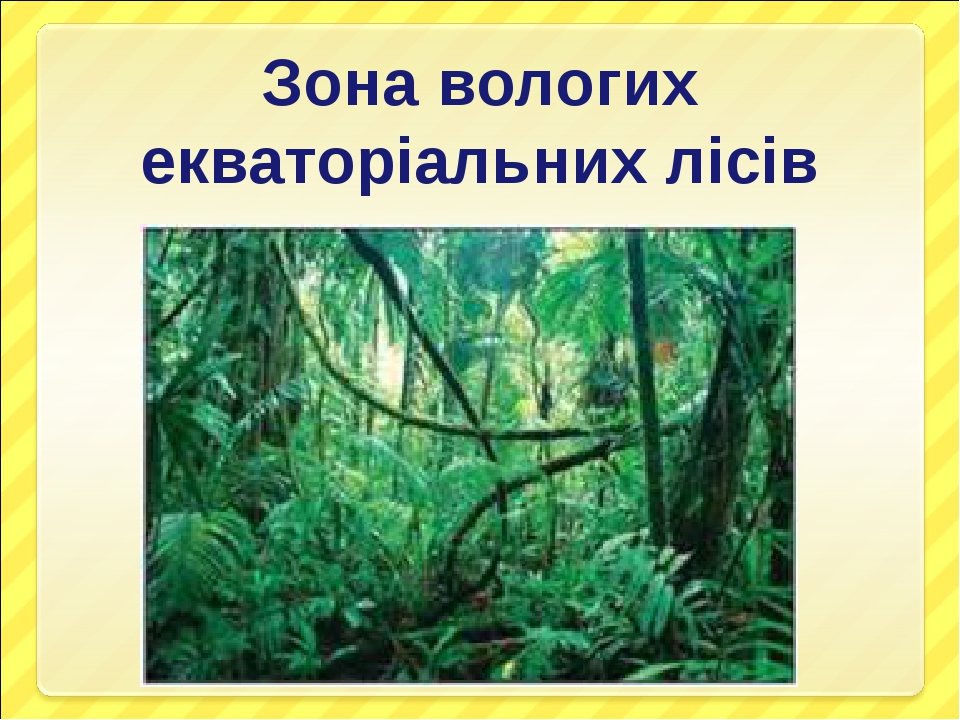 Особливості рослинного світу Африки