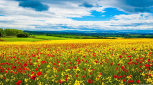Природа України.