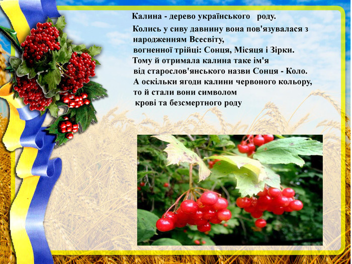 «Народні символи України».Розвиток мовлення з дошкільнятами | Конспект ...