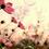 Грицюк Марія Вікторівна