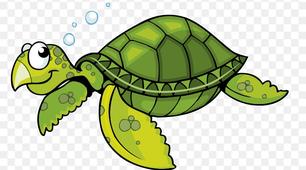 Модуль Turtle.