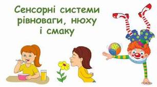 Сенсорні системи нюху, смаку, рівноваги, дотику..