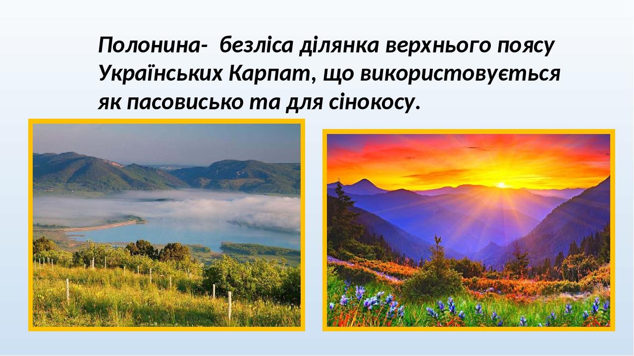 Презентація "Форми земної поверхні