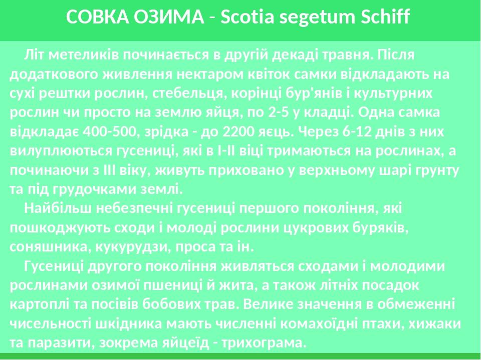 СОВКА ОЗИМА - Scotia segetum Schiff Літ метеликів починається в другій декаді травня. Після додаткового живлення нектаром квіток самки відкладають ...