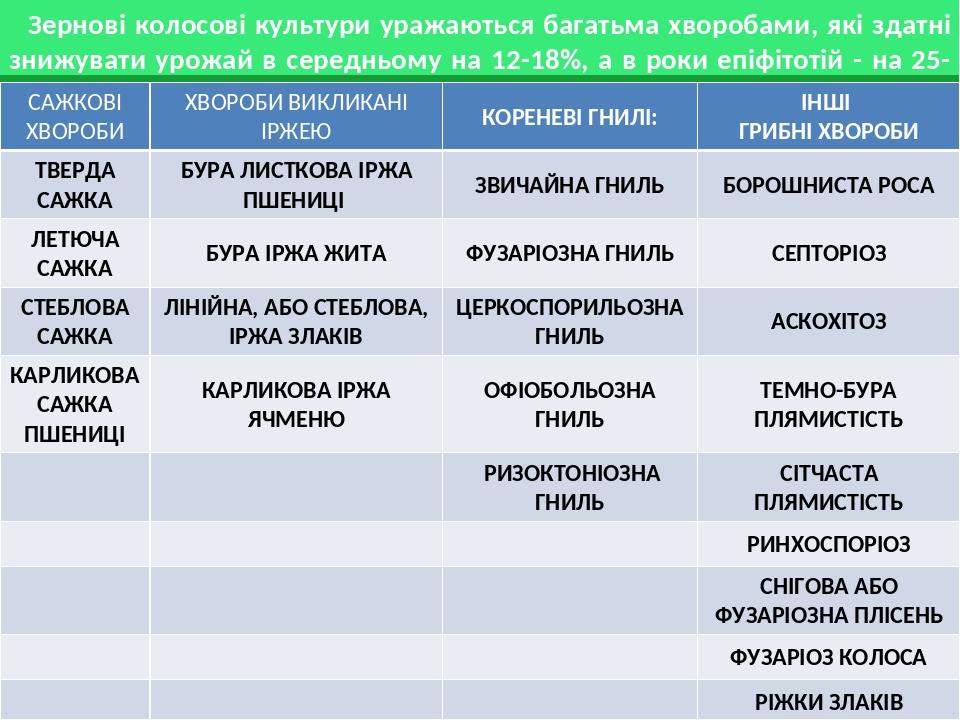 Зернові колосові культури уражаються багатьма хворобами, які здатні знижувати урожай в середньому на 12-18%, а в роки епіфітотій - на 25-50%. САЖКО...