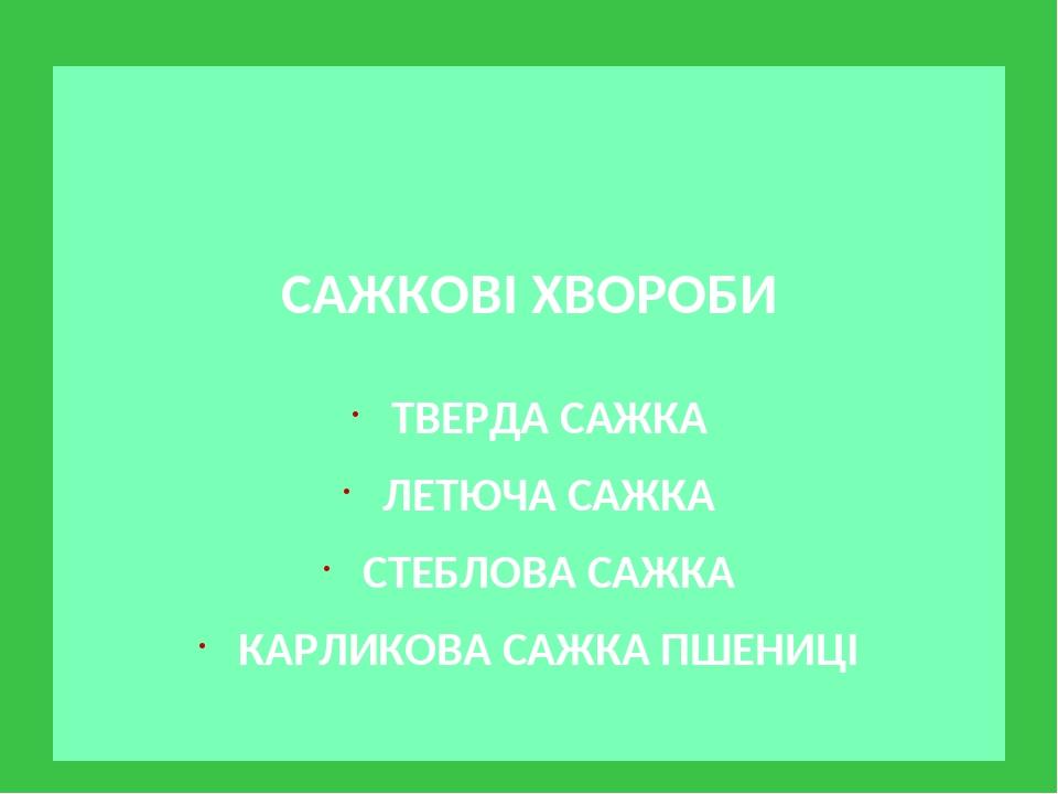 САЖКОВІ ХВОРОБИ ТВЕРДА САЖКА ЛЕТЮЧА САЖКА СТЕБЛОВА САЖКА КАРЛИКОВА САЖКА ПШЕНИЦІ