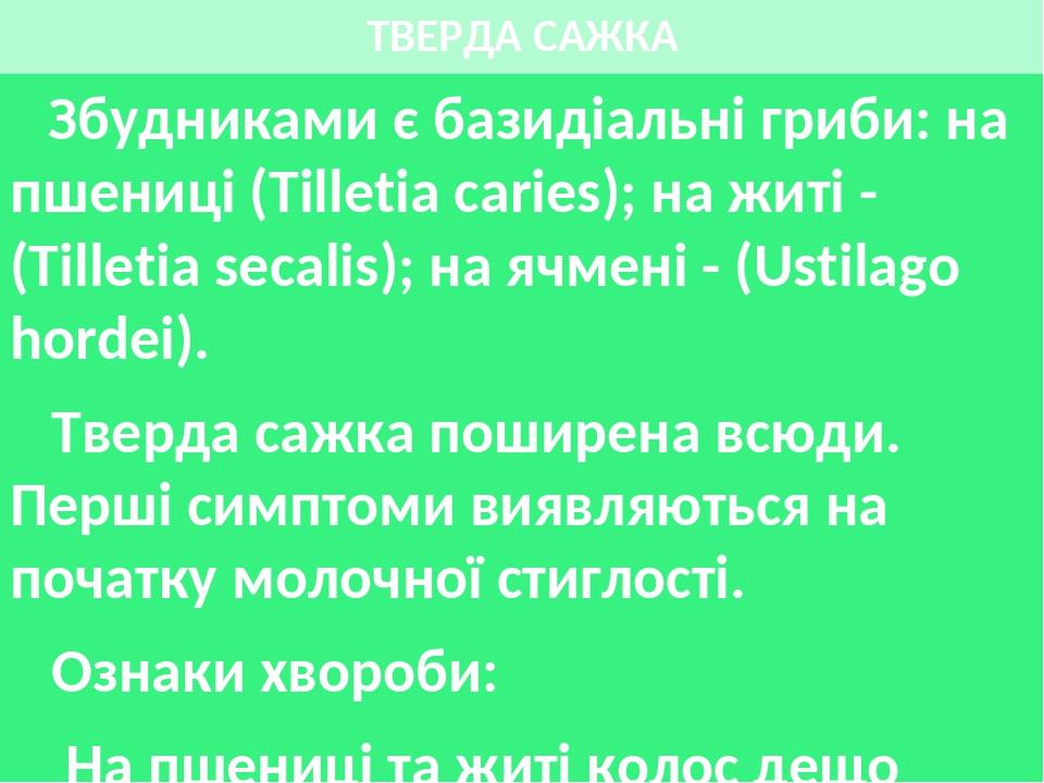 ТВЕРДА САЖКА Збудниками є базидіальні гриби: на пшениці (Tilletia caries); на житі - (Tilletia secalis); на ячмені - (Ustilago hordei). Тверда сажк...