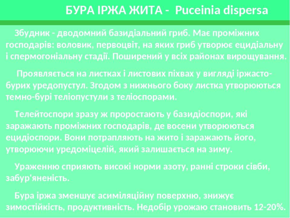 БУРА ІРЖА ЖИТА - Puceinia dispersa Збудник - дводомний базидіальний гриб. Має проміжних господарів: воловик, первоцвіт, на яких гриб утворює ецидіа...