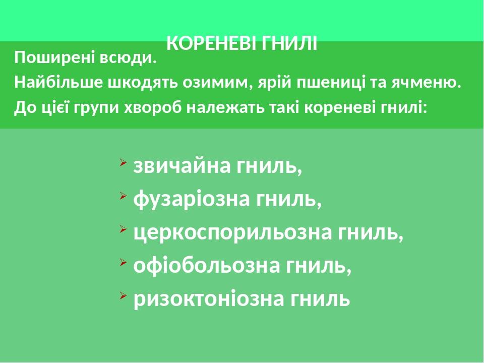 КОРЕНЕВІ ГНИЛІ звичайна гниль, фузаріозна гниль, церкоспорильозна гниль, офіобольозна гниль, ризоктоніозна гниль Поширені всюди. Найбільше шкодять ...