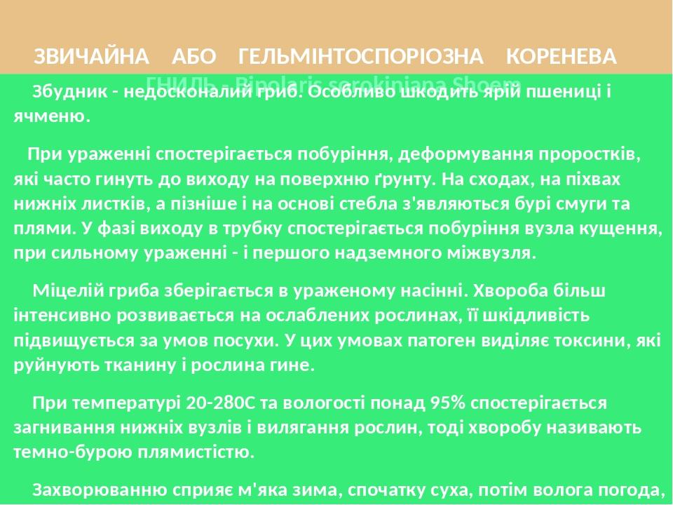 ЗВИЧАЙНА АБО ГЕЛЬМІНТОСПОРІОЗНА КОРЕНЕВА ГНИЛЬ - Bipolaris sorokiniana Shoem Збудник - недосконалий гриб. Особливо шкодить ярій пшениці і ячменю. П...