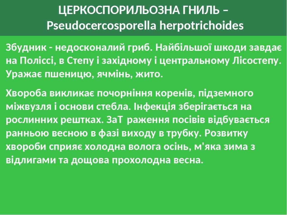 ЦЕРКОСПОРИЛЬОЗНА ГНИЛЬ – Pseudocercosporella herpotrichoides Збудник - недосконалий гриб. Найбільшої шкоди завдає на Поліссі, в Степу і західному і...
